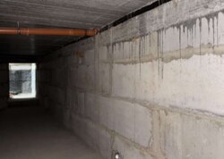 ������ ������������ ��������� ���� 16