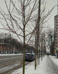 ������ ������������ ��������� ���� 1