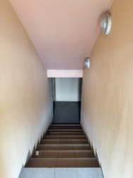   ,     3