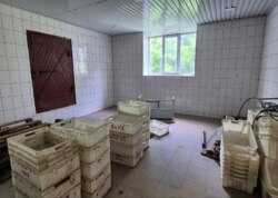 ������ ������������ ��������� ���� 4