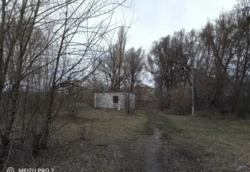 ������ �������� ������� ������ �� ������������ ���� 5