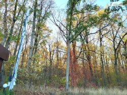 ��������� ��'��� �����������, ³�����, ³�������, ���������� ���� 9