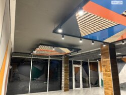 ��������� ��'��� ������, 19�, ³�����, ³�������, ����������� ���� 12