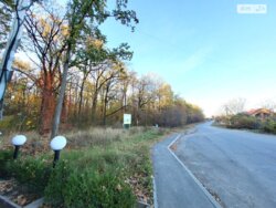 ��������� ��'��� �����������, ³�����, ³�������, ���������� ���� 12