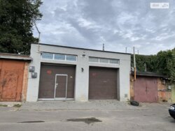 ��������� ��'��� ����� �����������, ³�����, ³�������, ���������� ���� 5