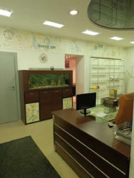 Продам офисное помещение 84м2 с ремонтом в центре ул,Мироносицкая 99 фото 3 Продам офисное помещение 84м2 с ремонтом в центре ул,Мироносицкая 99 фото 3