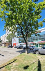 Продам кв. 70м² с отдельным входом, м Алексеевская фото 8 Продам кв. 70м² с отдельным входом, м Алексеевская фото 8