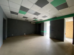 80,3 метра ЦЕНТР ул. Чернышевская 96 фото 9 80,3 метра ЦЕНТР ул. Чернышевская 96 фото 9