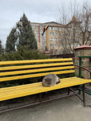 Продаж Комерційного приміщення в м.Харкові в Закритому Комплексі фото 12 Продаж Комерційного приміщення в м.Харкові в Закритому Комплексі фото 12