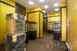 Продам магазин в бутіковій зоні на Сумській. Центр. 126 кв. фото 5 Продам магазин в бутіковій зоні на Сумській. Центр. 126 кв. фото 5