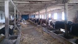 Продається об'єкт Вінницька, Вінниця, c.Глинянка фото 2 Продається об'єкт Вінницька, Вінниця, c.Глинянка фото 2