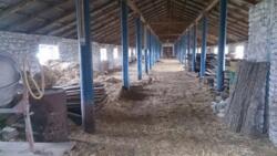 Продається об'єкт Вінницька, Вінниця, c.Глинянка фото 8 Продається об'єкт Вінницька, Вінниця, c.Глинянка фото 8