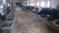 Продається об'єкт Вінницька, Вінниця, c.Глинянка фото 6 Продається об'єкт Вінницька, Вінниця, c.Глинянка фото 6