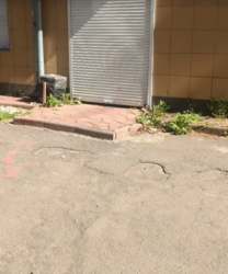 ��������� ��'��� �����������, ������������, ϳ������-��������, ������������ ���� 1