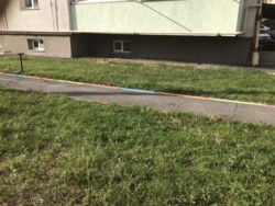 ��������� ��'��� �����������, ������������, ������ ���� 5