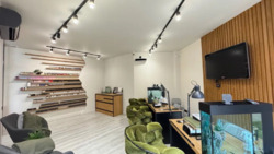 ��������� � ����� �����, ����� ���� ���� 19