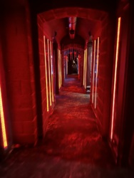   'Elegant club'      20