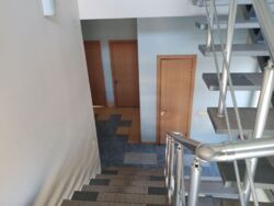 -        ,     c  12