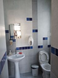 -        ,     c  14