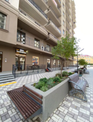 ���������� ��������� � �� �������� ���� 1