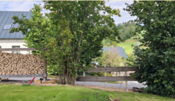 ���������� ������� ������� �� ������ ������������� ���� 12