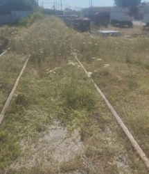    䳳,    1,  7000 .   5