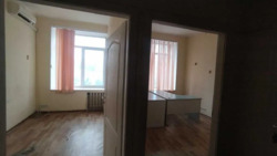 ������ �����-������ ���� 13