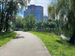 Нежитлове приміщення фото 10 Нежитлове приміщення фото 10