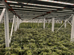 Продається об'єкт Київ фото 3 Продається об'єкт Київ фото 3