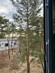 Продається об'єкт Київ, Голосіївський фото 4 Продається об'єкт Київ, Голосіївський фото 4