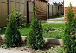 Продам 3х этажный офис с отдельным входом фото 4 Продам 3х этажный офис с отдельным входом фото 4