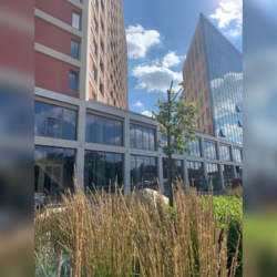 Продам коммерческое помещение Киев Соломенский Нивки Супермаркет фото 3 Продам коммерческое помещение Киев Соломенский Нивки Супермаркет фото 3