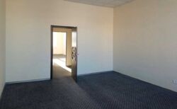 ������ �����-������ ���� 14