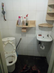 ������/������ ��������� ������� ���������� ���� 4