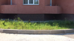 Продается объект Хмельницкий, Хмельницкая, Выставка фото 7 Продается объект Хмельницкий, Хмельницкая, Выставка фото 7