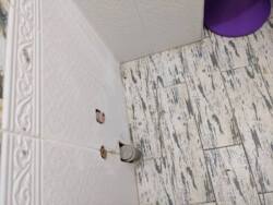 ��������� ������ ���'�������, 118, �����������, �����������, ���-����� ���� 33