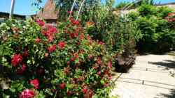 Отдельно стоящее здание в центре города. фото 13 Отдельно стоящее здание в центре города. фото 13