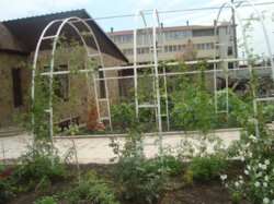 Отдельно стоящее здание в центре города. фото 2 Отдельно стоящее здание в центре города. фото 2