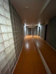 ������ ��������� (������ �������) 298,7 �2 ����� ���� 33