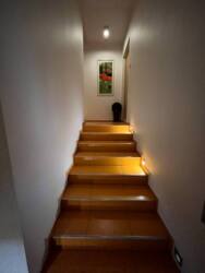 ������ ��������� (������ �������) 298,7 �2 ����� ���� 26