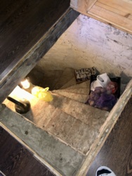 Унікальна інвестиційна можливість у серці Житомира – парк імені Барона Шодуара фото 48 Унікальна інвестиційна можливість у серці Житомира – парк імені Барона Шодуара фото 48