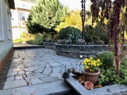 Унікальна інвестиційна можливість у серці Житомира – парк імені Барона Шодуара фото 12 Унікальна інвестиційна можливість у серці Житомира – парк імені Барона Шодуара фото 12