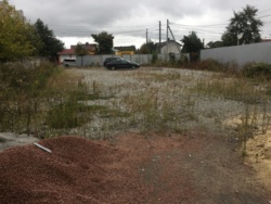 ������ ����� + ������ 15���, �����! ���� 4