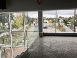 ������ ����� + ������ 15���, �����! ���� 8