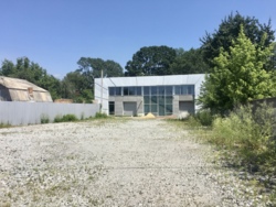 ������ ����� + ������ 15���, �����! ���� 11