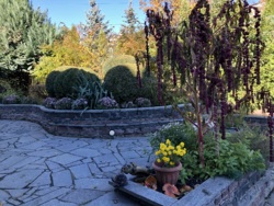 Унікальна інвестиційна можливість у серці Житомира – парк імені Барона Шодуара фото 22 Унікальна інвестиційна можливість у серці Житомира – парк імені Барона Шодуара фото 22