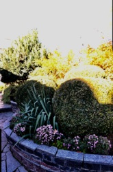 Унікальна інвестиційна можливість у серці Житомира – парк імені Барона Шодуара фото 23 Унікальна інвестиційна можливість у серці Житомира – парк імені Барона Шодуара фото 23