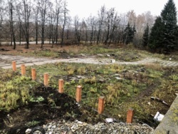 Приміщення вільного призначення 960кв.м. + 33сот у власності, фасад фото 6 Приміщення вільного призначення 960кв.м. + 33сот у власності, фасад фото 6