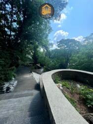 ��������� ��'��� ���, ������������� ���� 6