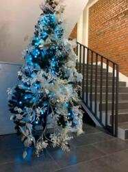 ��������� ��'��� ������������� ��., 4, ���, ���������� ���� 20